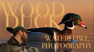 The Hunt for Waterfowl Migration  How to Photograph Waterfowl  Bird Photography [upl. by Marice]