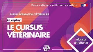 Conférence FFVET23 Le cursus vétérinaire [upl. by Julide]