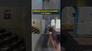 Wallbang common in cod mobile codm ganythcodm codmobile callofdutymobile [upl. by Nesta447]