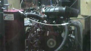 Golen Engine All Forged Competition 383 LT1 Dyno [upl. by Hali]