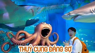 Đi Thăm Thuỷ Cung Siêu To Khổng Lồ Nhất Đông Nam Á [upl. by Kyte440]