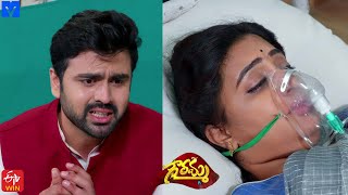 Gowramma Serial Promo  20th August 2021  Gowramma Telugu Serial  Mallemalatv [upl. by Jeno588]