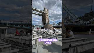 Thames River Cruise Exploring Londons Tower Bridge london shorts cruise towerbridge live [upl. by Ferde908]