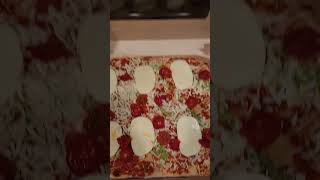 New Margarita Pizza from Costco cooking food dog delicious [upl. by Norab]