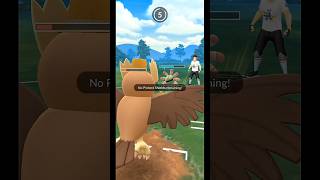 Cradily is tough Opponent  Pokemon go Sunshine Cup pokemonpokemongograssgobattleleaguepvp [upl. by Annahsohs478]