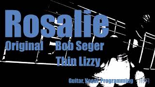 Thin Lizzy『Rosalie』COVER [upl. by Alrrats386]