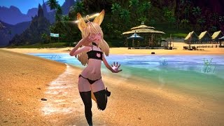 TERA cat Keyhole Bra [upl. by Oirramed]