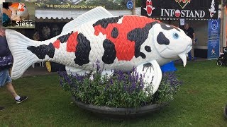 Holland Koi Show  Arcen 2017 [upl. by Aicenra]