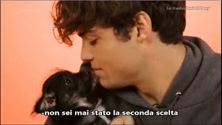 Noah Centineo risponde ai fan e gioca coi cuccioli [upl. by Kumar]