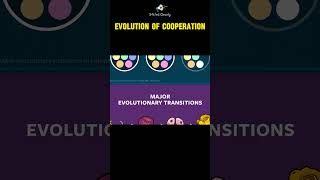 Evolution of cooperation [upl. by Faustus]