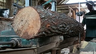 Extraordinary carpenters skill in splitting pine wood 5 [upl. by Nalaf831]