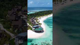 Beach bliss meets luxury poolside at Maldives Paradise Shores Resort beach sea maldives luxury [upl. by Nat]