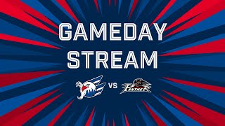 GamedayStream Adler Mannheim VS Augsburger Panther [upl. by Ligriv]