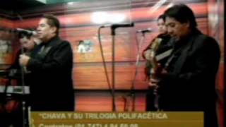 CUATRO LAGRIMAS en vivo  TRILOGIA POLIFACETICA [upl. by Astri]