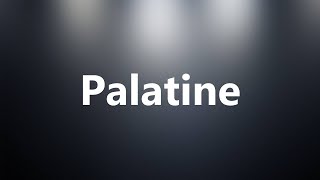 Palatine  Medical Definition and Pronunciation [upl. by Yrellam]