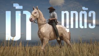 ม้าทุกตัวใน Red Dead Redemption 2 [upl. by Anorahs702]