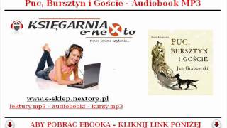 PUC BURSZTYN i GOŚCIE  AUDIOBOOK MP3  Jan Grabowski BAJKA DLA DZIECI  POBIERZ [upl. by Tiertza784]