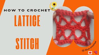 How to Crochet the Lattice Stitch crochettutorial [upl. by Milissa]