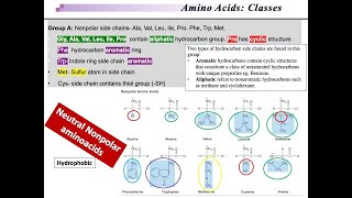 Amino acid Classification Polar nonpolar Hydrophilic Hydrophobic acidic and basic [upl. by Haleeuqa]