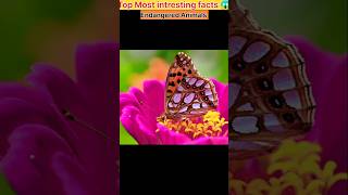 Top Most intresting facts 😱 Endangered Animals facts The hitesh facts [upl. by Ymirej341]