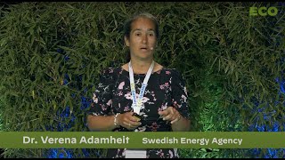 Verena Adamheit pitches Swedish Energy Agency [upl. by Ymer]