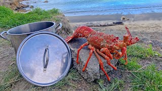 NZed Divers  CRAYFISH CATCH N COOK New Zealand Freediving amp Beach Cleanup Ep 1 [upl. by Ayoral42]