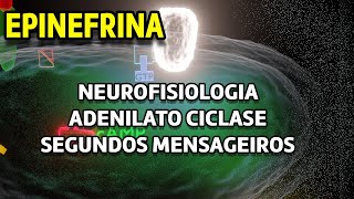 Sistema de Segundos Mensageiros  Adenilato Ciclase [upl. by Maire]