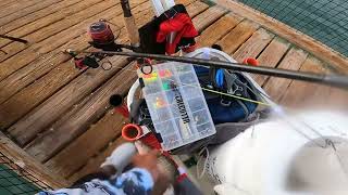 How to fish the T dock sebastianinlet youtube inlet fishingshorts fish fishinggear fishing [upl. by Prudhoe234]