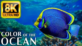 Colors Of The Ocean 8K Video ULTRA HD  The best sea animals for relaxing and soothing music 27 [upl. by Charters]