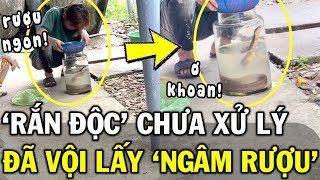 Liều mạng ngâm rượu bằng RẮN SỐNG thanh niên tự TÌM CHẾT khiến CĐM sởn gai ốc  Tin Việt 2 Phút [upl. by Forster]