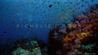 4K Sony A7SII Underwater  Richelieu Rock Similan Thailand [upl. by Boj641]