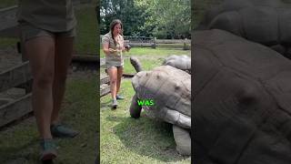 The woman devoted her entire life to the zoo heartwarmingpets animallover animals cute [upl. by Isaiah383]