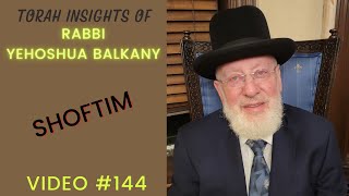 Torah Insights of Rabbi Balkany Shoftim Video 144 [upl. by Ekihc]