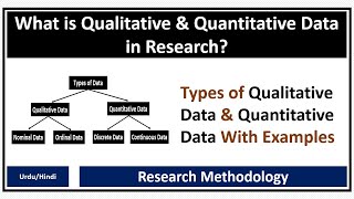 What is Qualitative Data and Quantitative Data in Research Types of Qualitative amp Quantitative Data [upl. by Mala441]