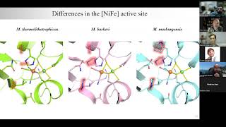 Hydrogenase Lectures 2022 Episode 8 Part 2 Marion Jesperson [upl. by Akcirederf694]