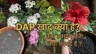 What is Dap FertiliserUses of Diammonium Phosphate [upl. by Elbam]