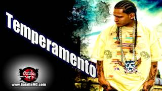 Temperamento  Recopilacion HD [upl. by Aserehs]