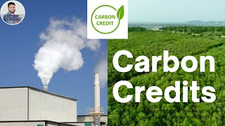 Carbon Credits [upl. by Sucy]