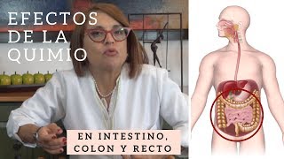 Efectos de la Quimioterapia INTESTINO DELGADO COLON Y RECTO HematoOncología [upl. by Astera343]