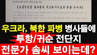 우크라 북한 파병 병사들에 투항귀순 전단지 전문가 솜씨 보이는데 레지스탕스TV 정광용TV [upl. by Yro]