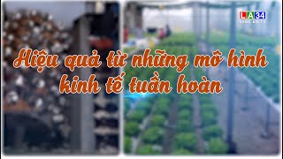 Hiệu quả từ những mô hình kinh tế tuần hoàn  LONGAN TV [upl. by Clinton]