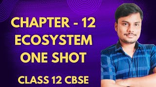 Chap 12  Ecosystem। One shot । Class 12 Biology । CBSE Board [upl. by Ettigirb17]