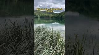 Grass Snake and Dice Snake from Plitvice Lakes National Park Croatia snakes herping wildlife [upl. by Namien463]