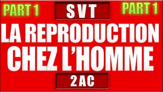 la reproduction chez lhomme svt 2 ac partie 1 [upl. by Straus755]