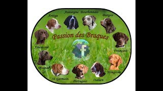 Passion des Braques 5 ans [upl. by Ytoc386]