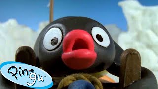 Pingu Gets Competitive 🐧  Pingu  Official Channel  Cartoons For Kids [upl. by Attwood]