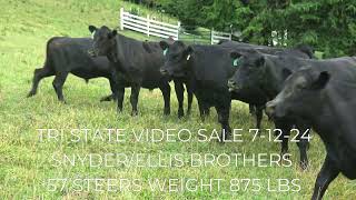 Tri State Video sale 71224 at 1pm [upl. by Entruoc]