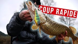 Comment pêcher le brochet ULTRA RAPIDEMENT [upl. by Silyhp]