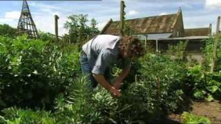 Hugh FearnleyWhittingstall talks about the Eat Seasonably Campaign [upl. by Ecnerol]