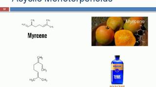 Terpenoids ppt [upl. by Mcgrody56]